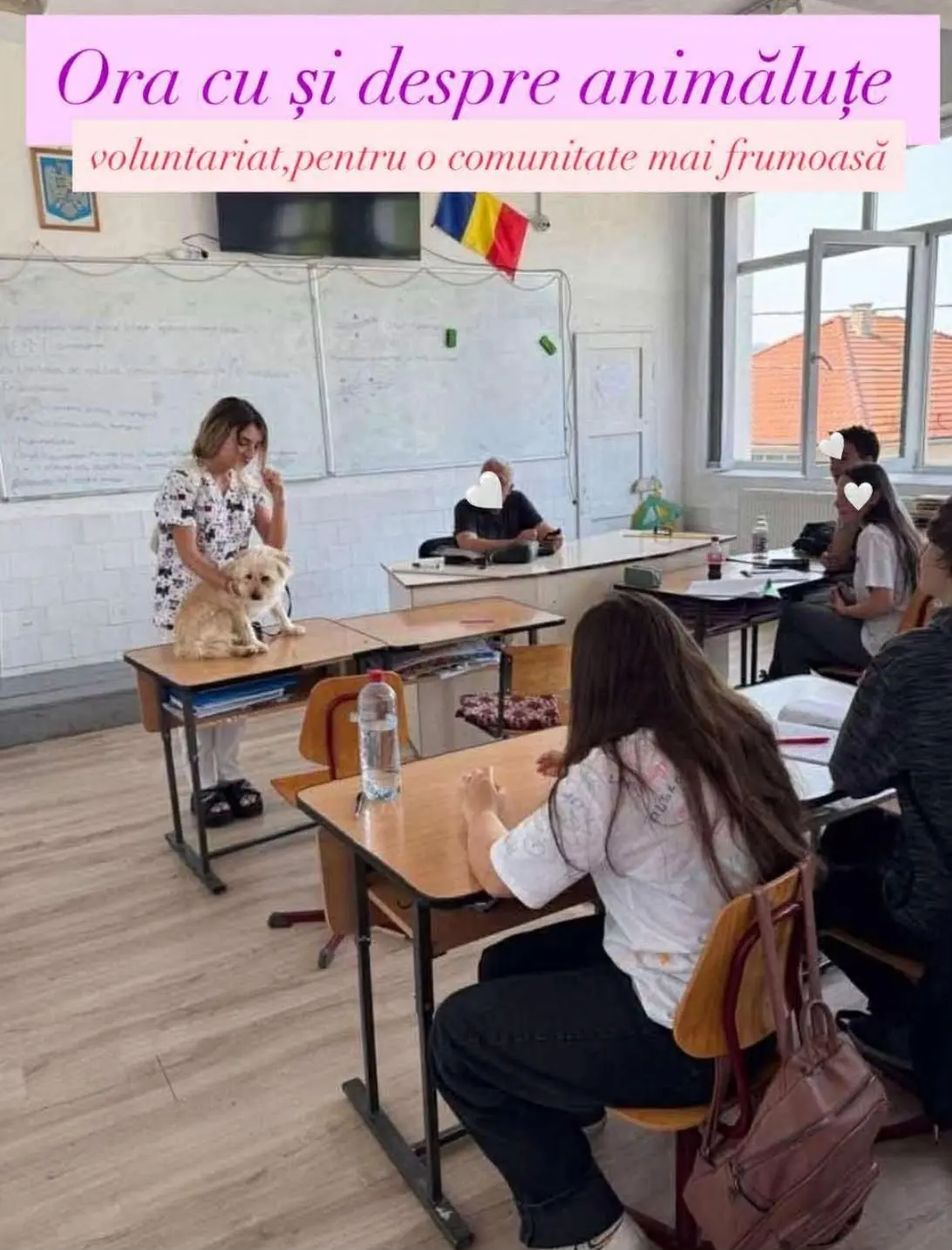 Ora cu și despre animăluțe: o voluntară prezintă un cățel elevilor la clasă