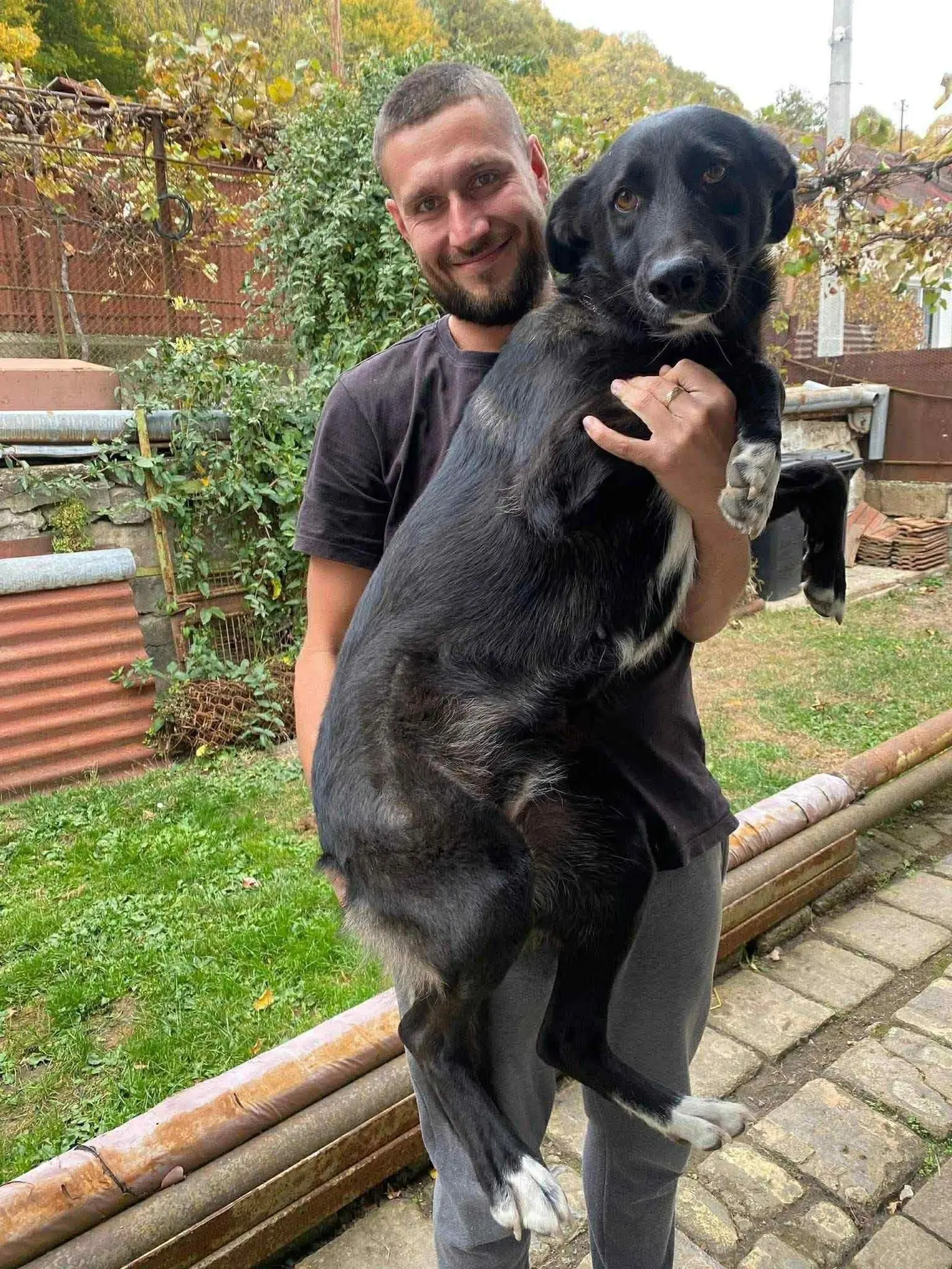 Un voluntar ține în brațe un câine negru salvat